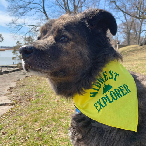 Midwest Explorer Dog Bandana 